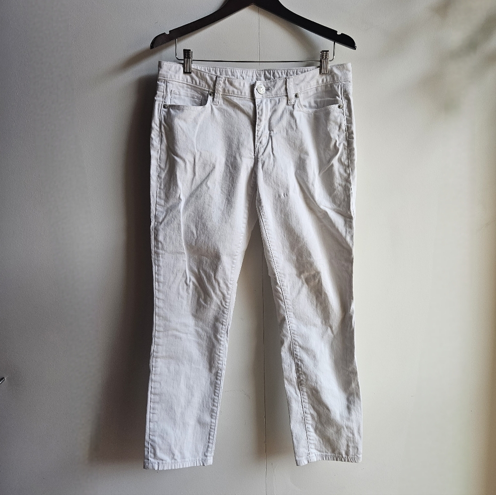 Loft Skinny Ankle Jeans in Women's 8